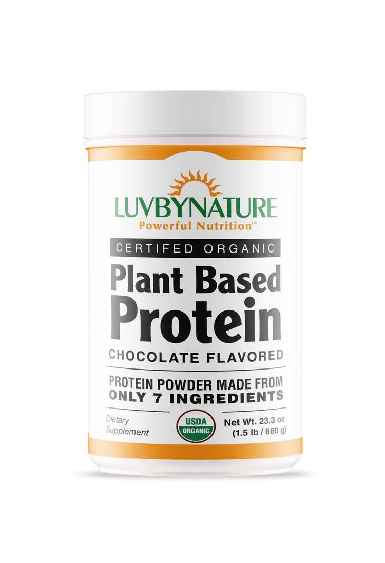 Organic Plant Based Protein Powder Chocolate