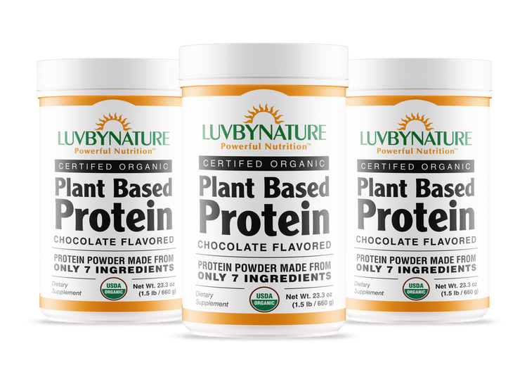 Organic Plant Based Protein Powder Chocolate