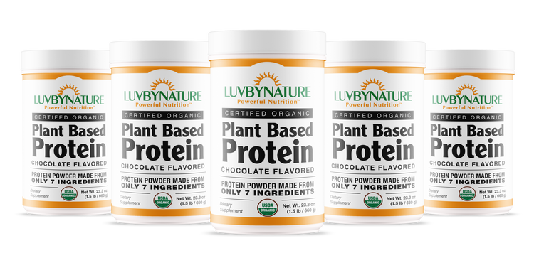 Organic Plant Based Protein Powder Chocolate