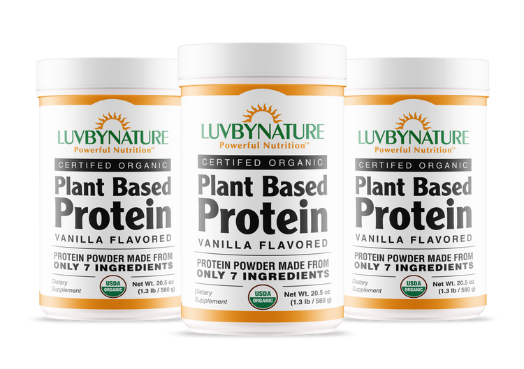Organic Plant Based Protein Powder Vanilla
