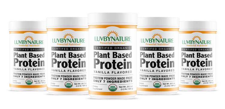 Organic Plant Based Protein Powder Vanilla
