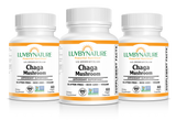 Organic Chaga Mushroom Powder - LuvByNature
