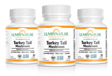 Organic Turkey Tail Mushroom - LuvByNature