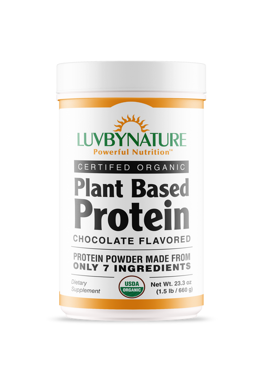 Organic Plant Based Protein Powder Chocolate